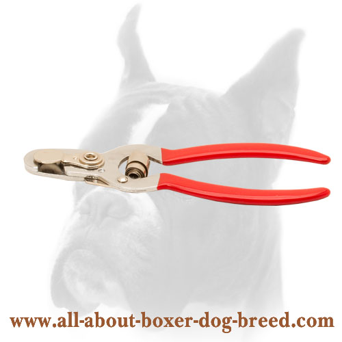 Safe Nail Trimmer with Stop and Fixator for Boxer