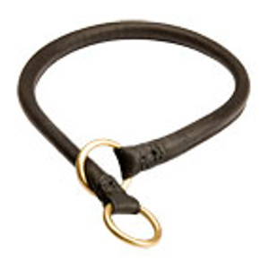 Elegant Boxer choke collar for training