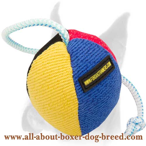 High quality Boxer toy ball for training