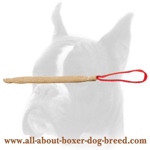 Pocket toy made of jute with handle for Boxer puppy training