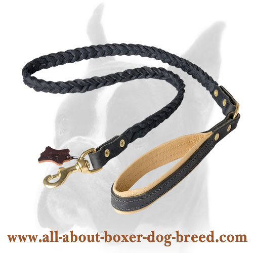 Braided leather Boxer leash for walking