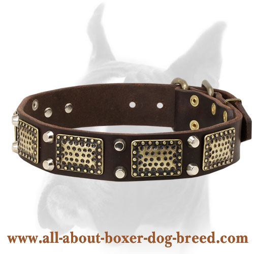 Exquisite Handcrafted Leather Collar for Boxer With Brass and Nickel-plated Decorations