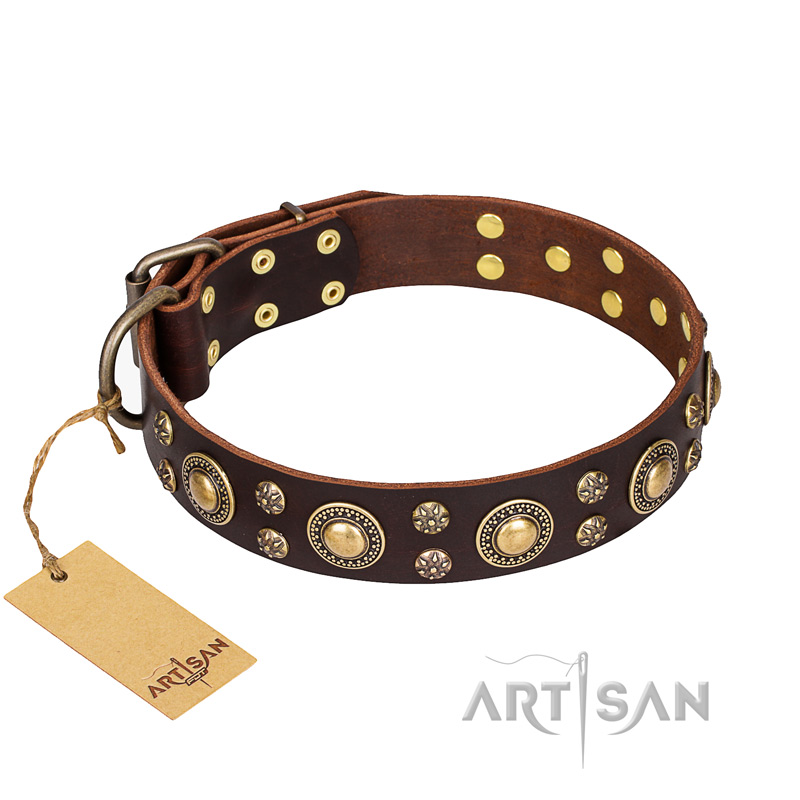 'Flower Melody' FDT Artisan Brown Leather Dog Collar with Mixed Studs for Boxer Dog Walking