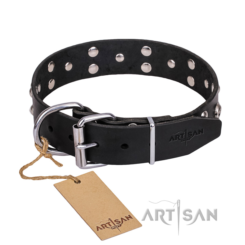 FDT Artisan 'Mystic Skulls' Decorated Leather Boxer Dog Collar with Skulls and Studs 1 1/2 inch (40 mm)