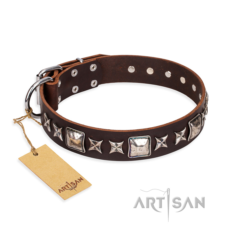 "Perfect Impression" FDT Artisan Brown Leather Boxer Collar with Shining Studs - 1 1/2 inch (40 mm) Wide