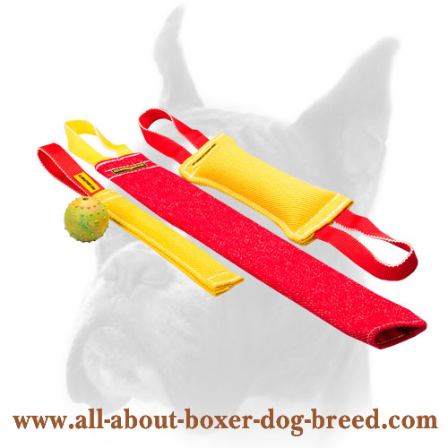 Puppy Training Set for Fun Training