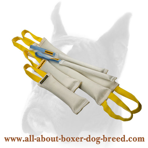 Fire Hose Bite Tugs Training Sets