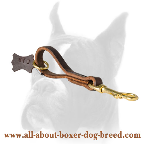 Fast Grab Pull Tab Dog Leash for Boxer