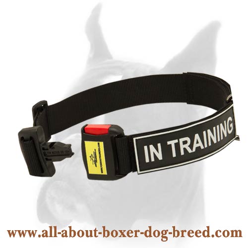 Excellent Identification Dog Collar for Boxer