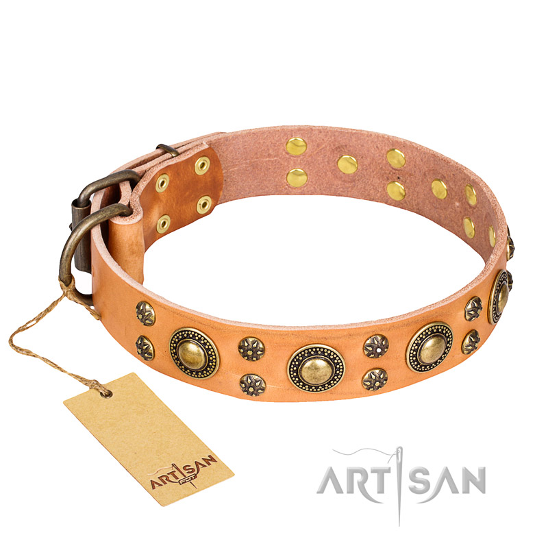 'Sophisticated Glamor' FDT Artisan Boxer Tan Leather Dog Collar with Stylish Old-Bronze Plated Decorations