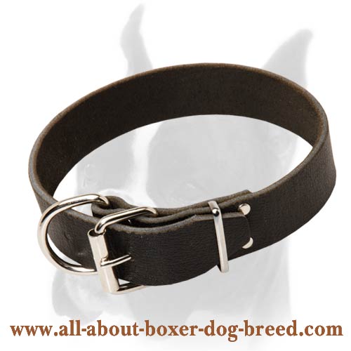 C4 Large Dog Collar