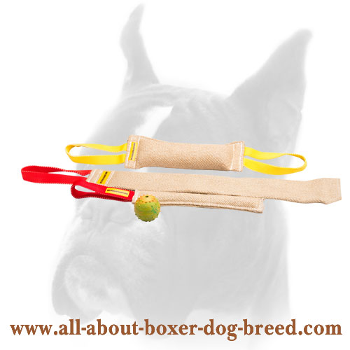 Puppy Training Set for Efficient Training