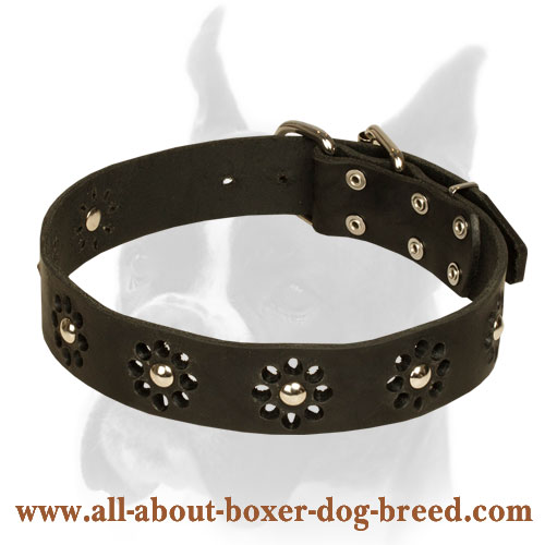 Stylish Collar with Camomile Ornament for Boxer