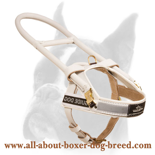 Guide and Assistance Leather Harness for Boxer with Long Handle