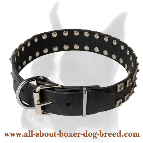 Boxer Leather Collar "Caterpillar" Ornated With Studs