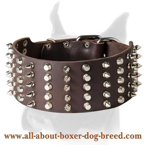 Best Collar For Boxer With Spikes And Pyramids