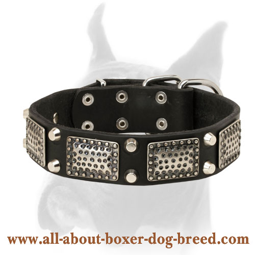 Perfect Leather Collar With Nickel Pyramids And Plates For Boxer
