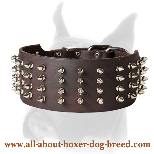 Fancy wide Boxer collar with spikes