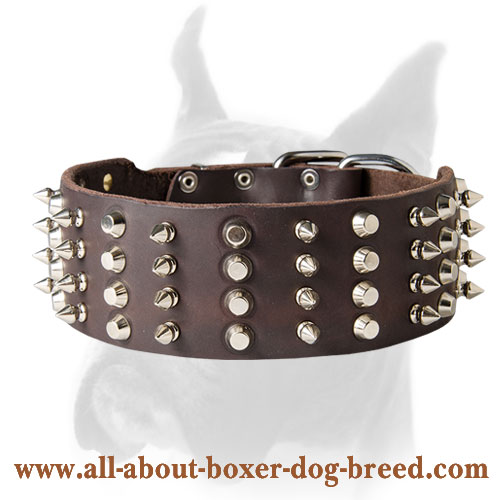Posh leather Boxer collar with spikes and pyramids