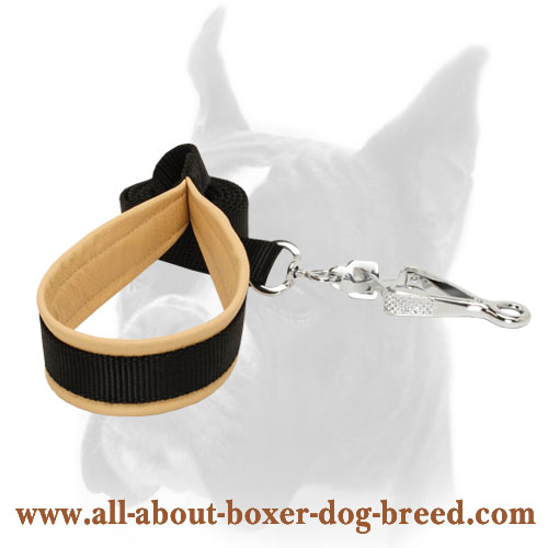 Boxer leash with padded handle for daily activities