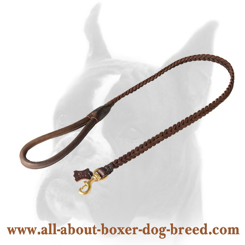 Braided Boxer Leash for Training and Walking