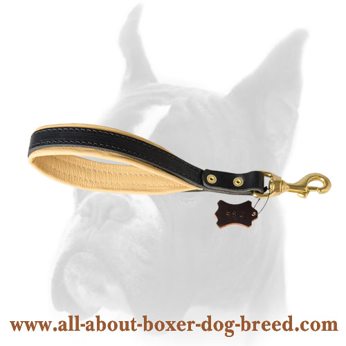 Durable and Comfortable Short Leash for Boxer