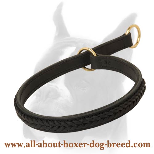 Leather Decorated Boxer Dog Collar with Braids