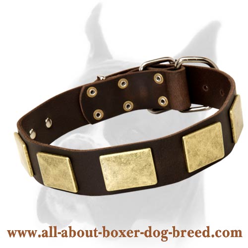 Original Design Wide Leather Collar with Massive Plates for Boxer