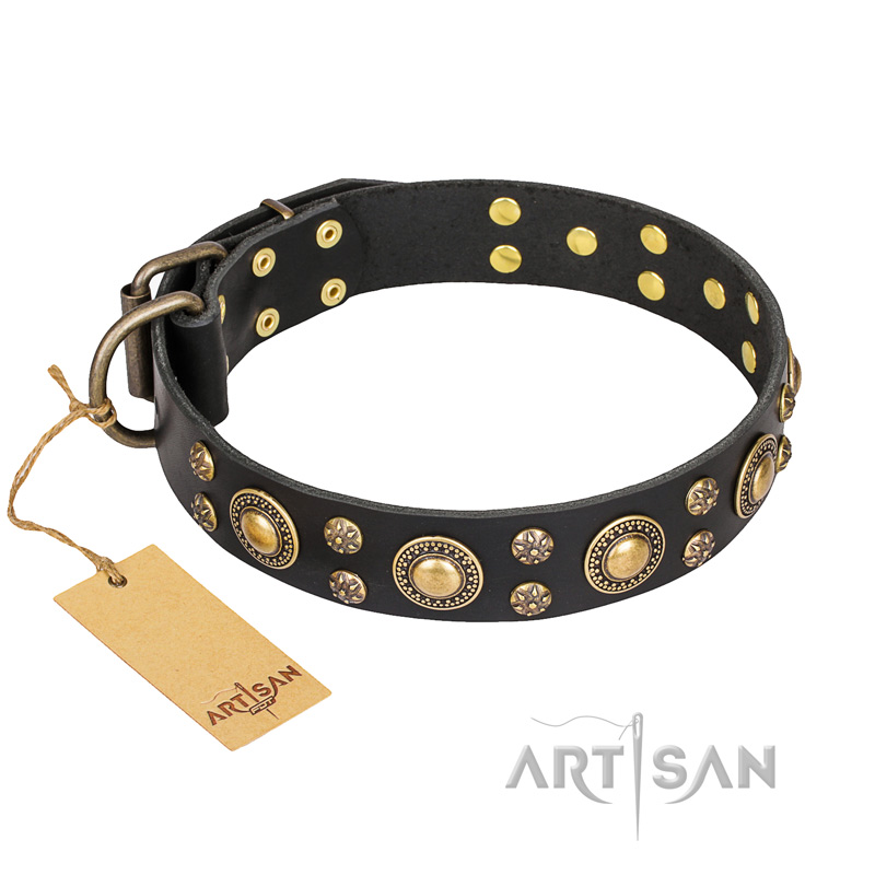 'Baroque Chic' FDT Artisan Studded Black Leather Boxer Dog Collar