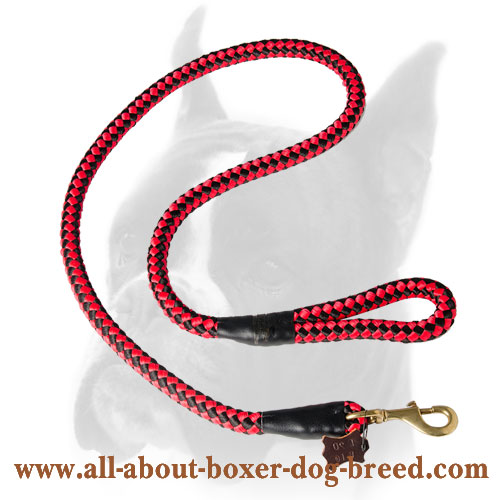 Stylish nylon Boxer leash for training