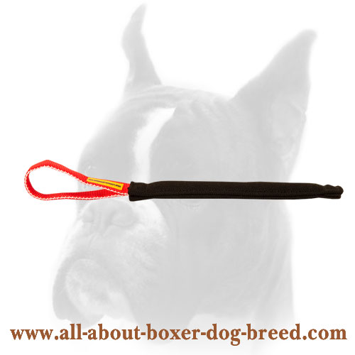 Boxer Puppy Training Pocket Toy with Handle