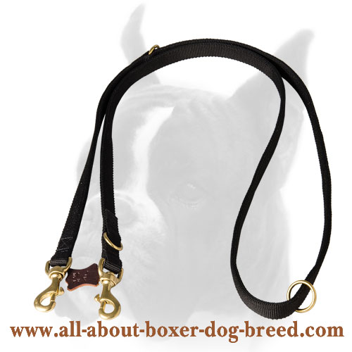 Multifunctional Boxer leash for police service