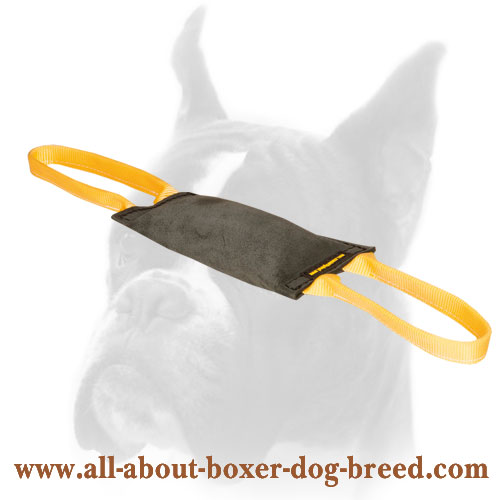 Firm Bite Leather Tug for Boxer Training