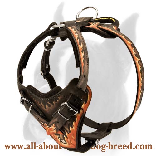 Handcrafted Leather Harness for Boxer Breed with Unique Fire Painting