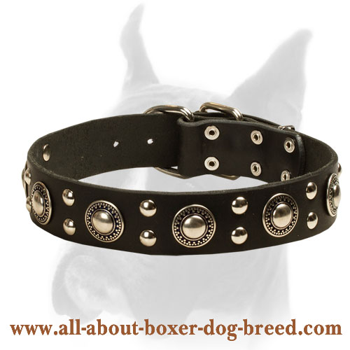 Modern Studded Dog Collar in Rocker Style