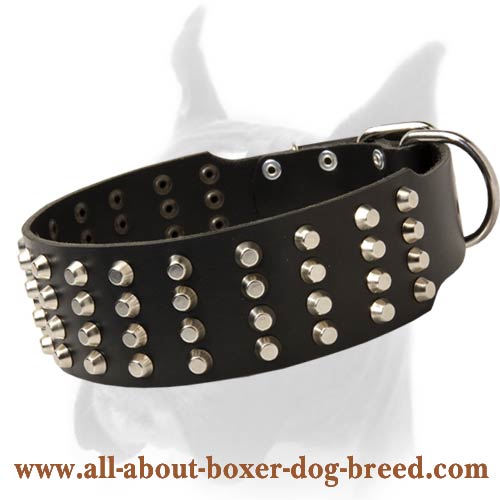 Extra Wide Leather Collar for Boxer with 4 Rows of Pyramids