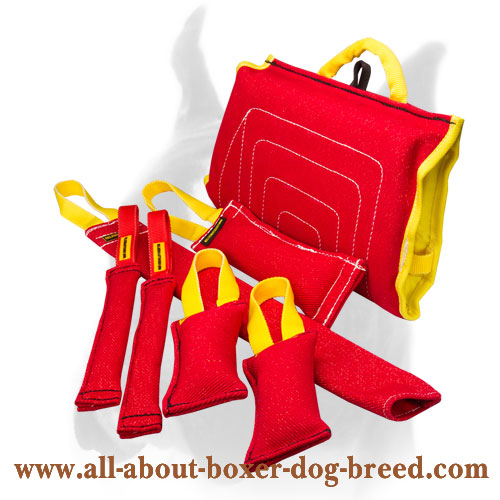 Puppy Training Set for Efficient Training