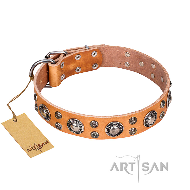 'Extra Sparkle' FDT Artisan Handcrafted BoxerTan Leather Dog Collar