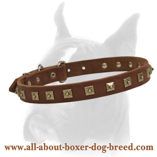 Three-dimensional Studded Leather Boxer Collar