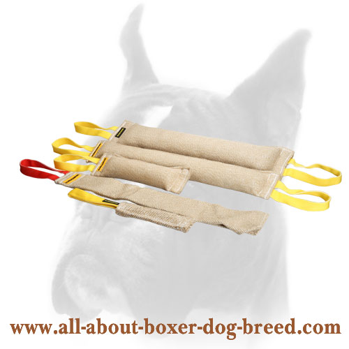 Adult Dog Training Set made of Jute