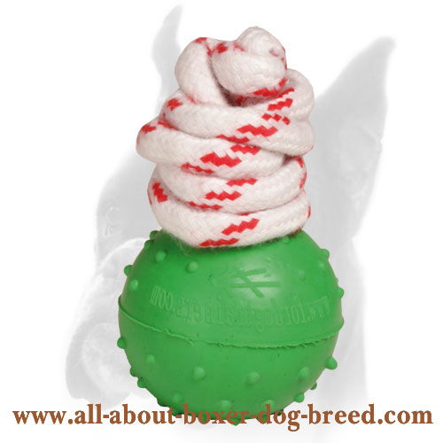 Water Rubber Bite Boxer Ball Joy and Train - Small 2 inch (5 cm)