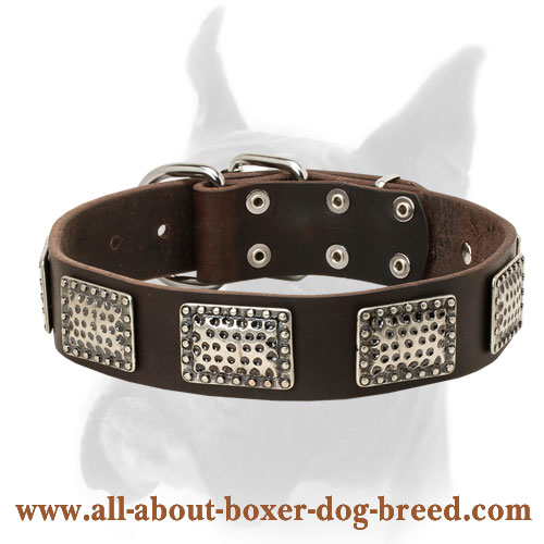 Handmade leather dog collar with silvery plates for Boxer