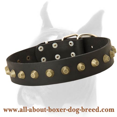 Stylish Wide Leather Boxer Collar with Brass Studs Decoration
