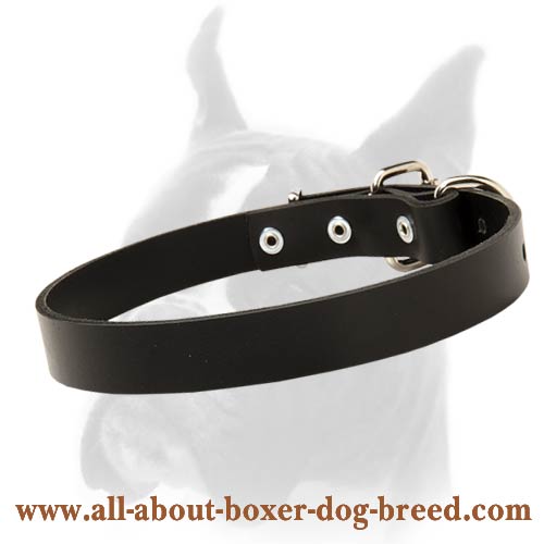 Wide and Comfortable Boxer Leather Dog Collar