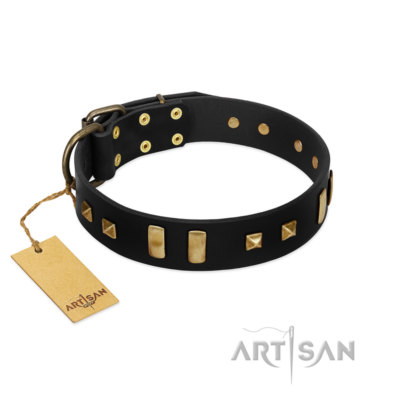 "Fit for Royalty" FDT Artisan Black Leather Boxer Collar with Plates and Small Square Studs