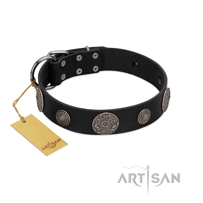 "Ad Infinitum" Durable FDT Artisan Black Leather Boxer Collar with Chrome Plated Brooches