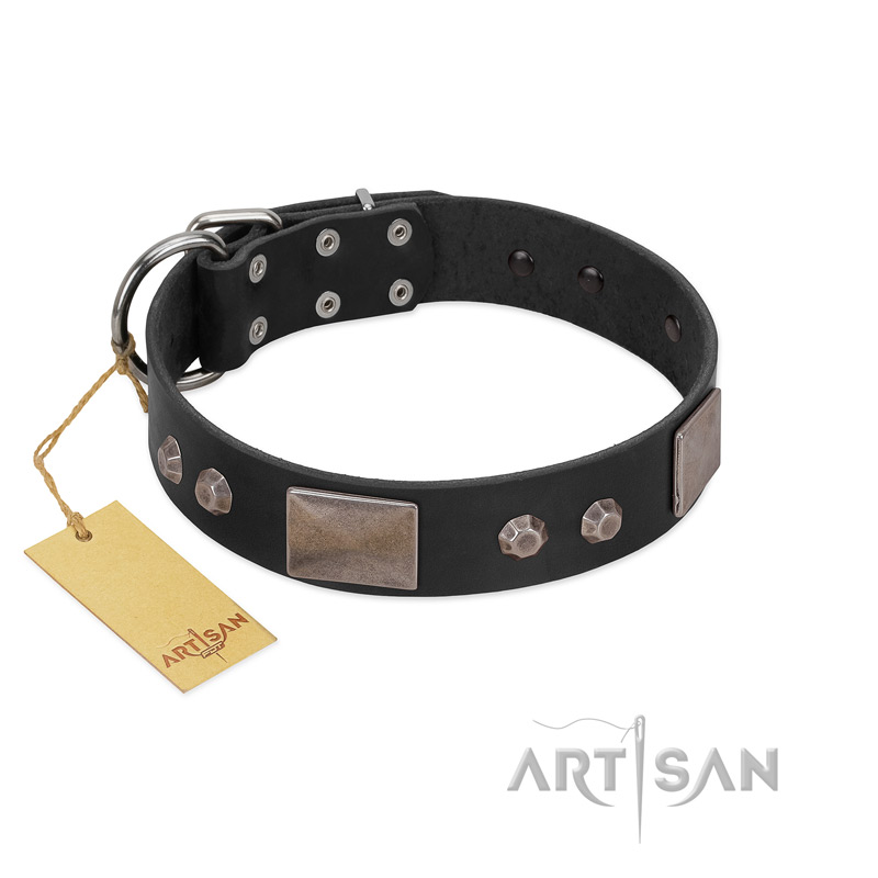 "Square Stars" Modern FDT Artisan Black Leather Boxer Collar with Square Plates and Studs