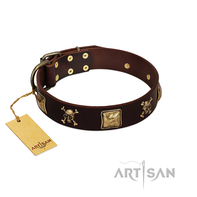"Crazy Pirate" FDT Artisan Brown Leather Boxer Collar with Old Bronze-Plated Skulls and Plates
