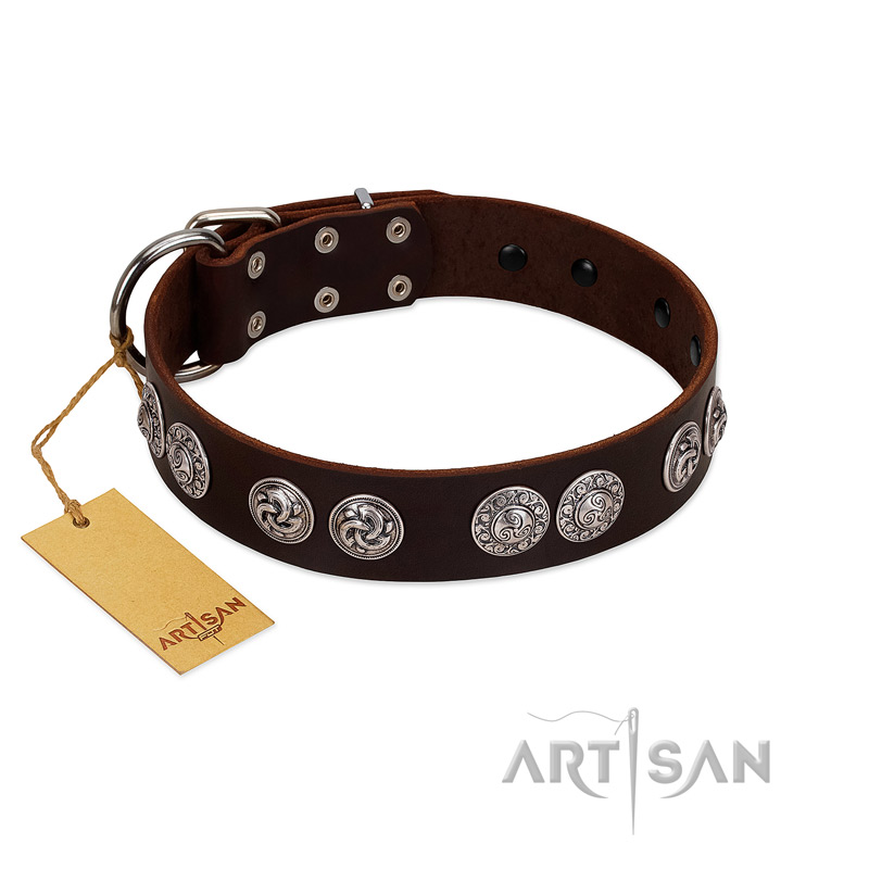 "High and Mighty" FDT Artisan Classy Brown Leather Boxer Collar with Embellished Brooches