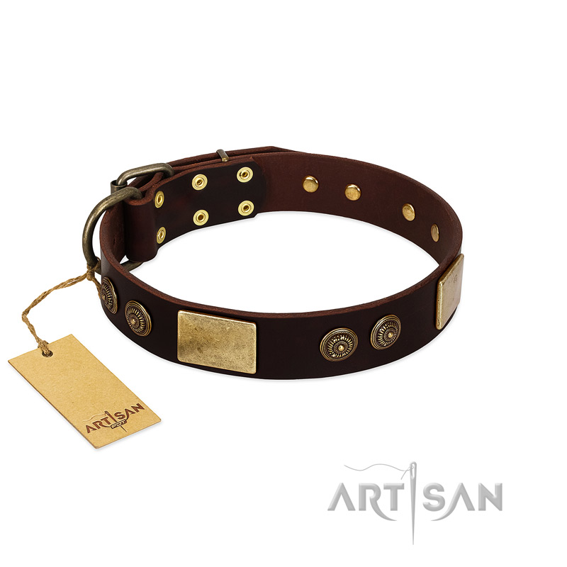 "Bow-Wow Effect" FDT Artisan Brown Leather Boxer Collar with Plates and Ornate Studs